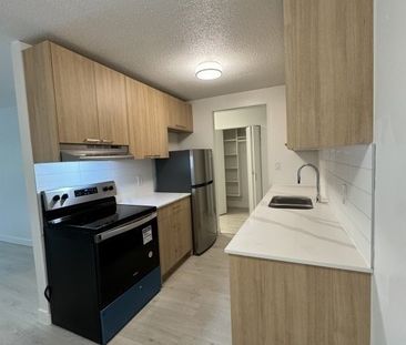 Blueridge Apartments - Photo 3
