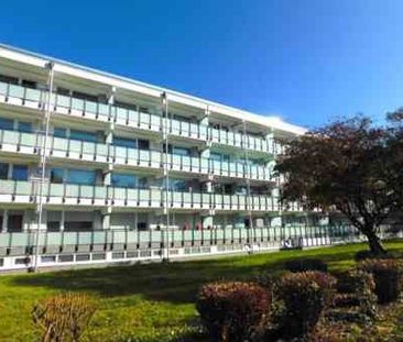 Komplett renovierte 3 Zimmer Wohnung sucht neuen Mieter!!! - Foto 1