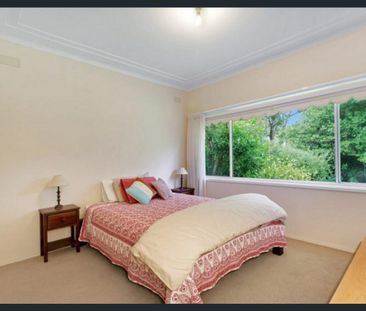 Tranquil Light-filled Family Residence - Photo 4