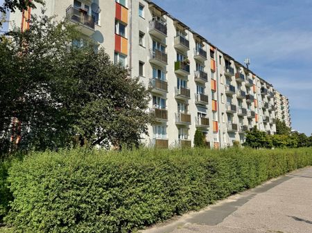 Mieszkanie 3 pokojowe w sąsiedztwie UMK - Photo 2