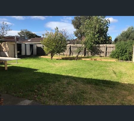 12 Mulhall Drive, St Albans, Vic 3021 - Photo 5