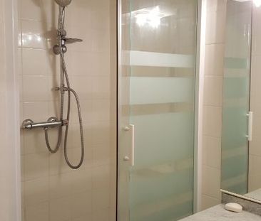 Location Appartement 1 pièce 29m² ISSY LES MOULINEAUX 92130 - Photo 3