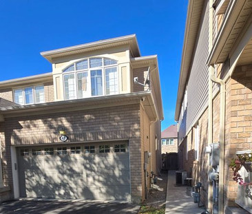 For Lease - 48 Bevington Road Unit# Basement, Brampton, Ontario - Photo 4