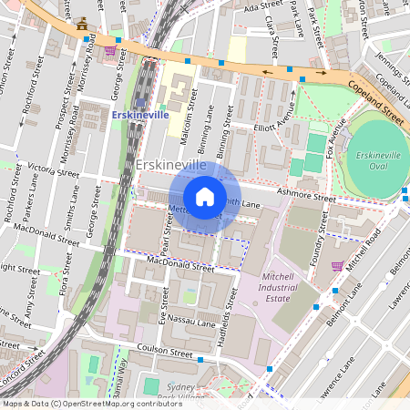 42 Metters Street, NSW 2043, Erskineville