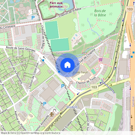 Chemin du Fief-de-Chapitre 6, 1213 Petit-Lancy