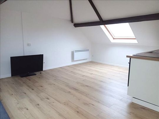1 pièce - Meublé - 17,63 m² - 2ème étage - Colocation non autorisée - Photo 1
