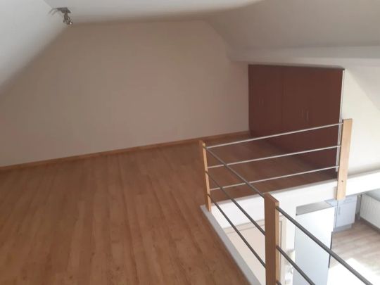 Tof dakappartement met aangenaam zonneterras. - Photo 1