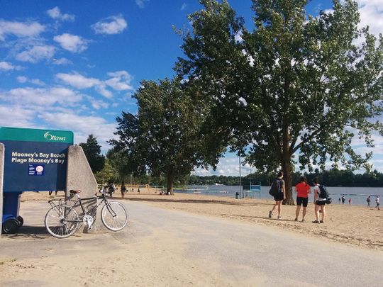 For Lease - 732 Mooney's Bay Place, Billings Bridge - Riverside Park and Area, Ontario - Photo 1