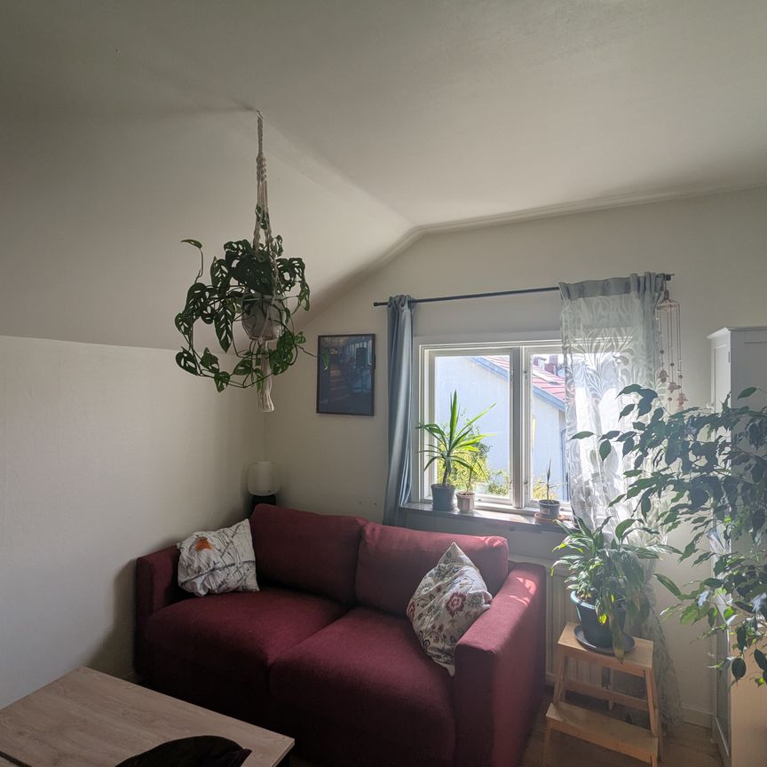 Hackspettsgatan, Göteborg - Foto 1