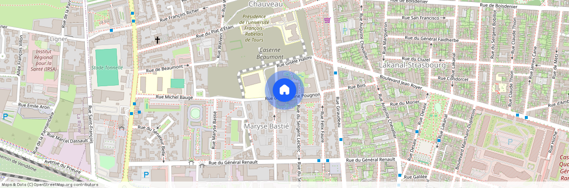 29 Rue du Capitaine Pougnon 37000 Tours