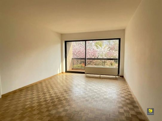 1-slaapkamerappartement in rustige buurt in Berchem - Photo 1