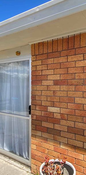 34 Livingstone Avenue - Photo 2