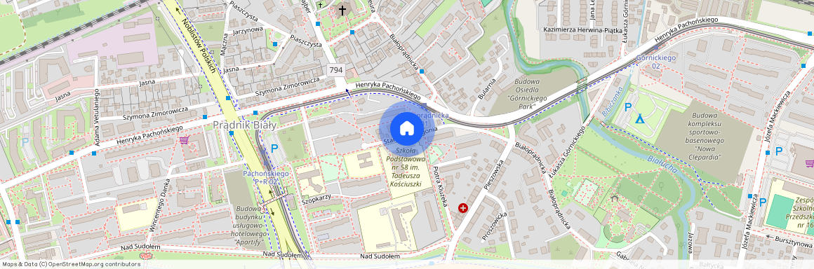 ul. Stanisława Pigonia, Prądnik Biały, Prądnik Biały, Kraków, małopolskie