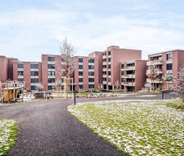 MIETEN OHNE KAUTION - Grosszügige Wohnung im Grünen - Foto 3