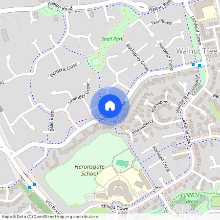 Lavender Grove, Walnut Tree