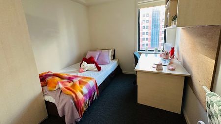 8 Mount Street, Grafton, Auckland - Photo 2