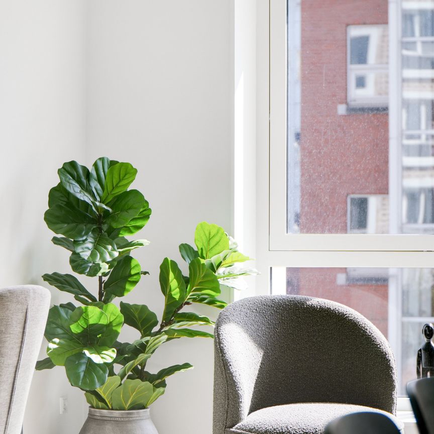 Bo til leje i den fede del af Østerbro - Photo 1