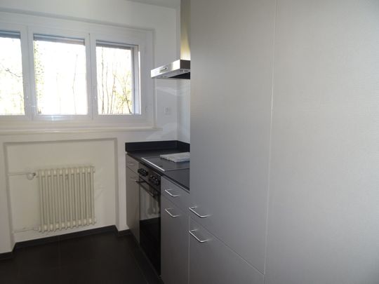 3.5 Zimmer-Wohnung mit Sitzplatz - Photo 1
