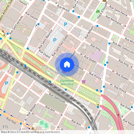 790 rue William, Montréal, QC