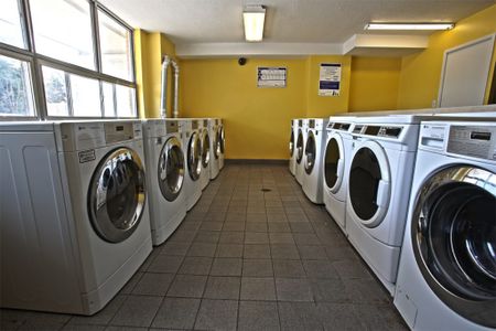 Susan Towers - Photo 3