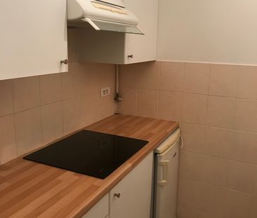 Location Appartement 1 pièce 28m² ST MAUR DES FOSSES 94210 - Photo 6