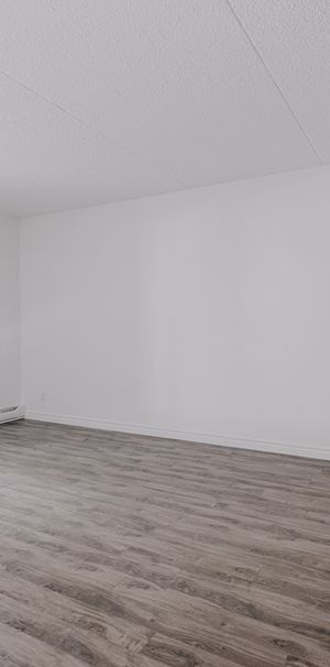 OSEN Appartement 5 ½ à Louer Sainte-Foy / Sillery Décembre 2025 - Photo 1