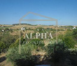 Διαμέρισμα για ενοικίαση - Μίκρα, - Φωτογραφία 5