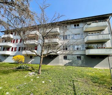 3 Zimmer, 63 m², EG - Foto 4