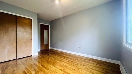 885 55e Avenue Montréal (Lachine), QC H8T - Photo 4