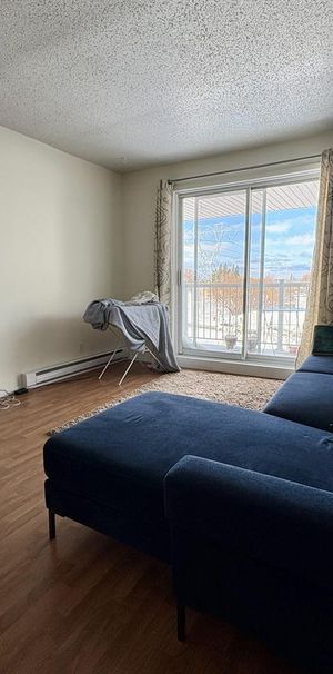 Antoine-du Verdier Appartement 4 ½ à Louer Sainte-Foy / Sillery Juillet 2026 - Photo 1