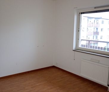 Ekbacken, Asarum - Foto 1