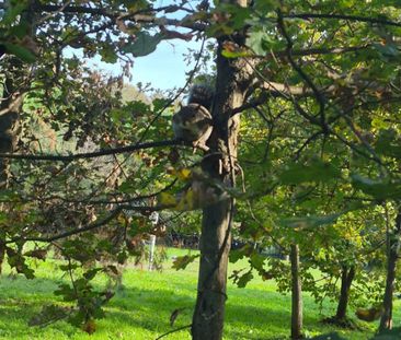 3 Zimmer, 70 m² - Photo 1