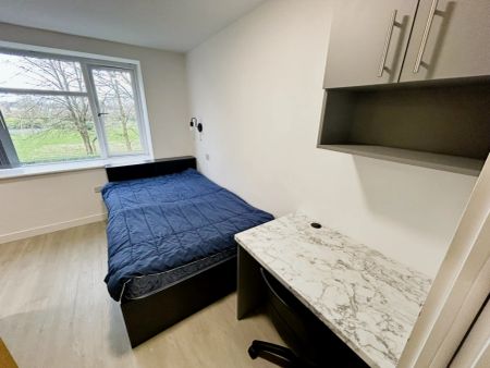 Gold Plus Studio - Photo 4