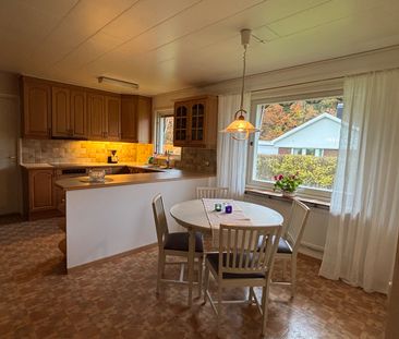 På landet mitt i stan - Photo 5