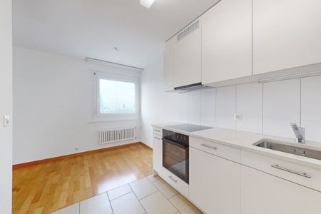 RENT WITHOUT DEPOSIT - FANTASTIC VIEW OVER BIRSFELDEN IN THE 14TH FLOOR - Photo 3