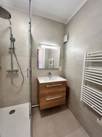 Location Appartement 2 pièces 50m² GRENOBLE 38100 - Photo 4