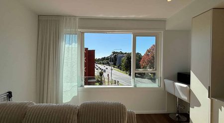 Brand New North-facing studio with Lots of Sun - Photo 4