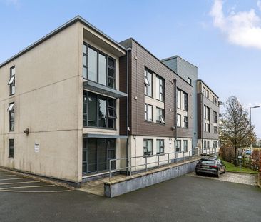 Peninsula Student Living, Derriford - Photo 4