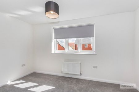 Pumpkin close - Photo 5