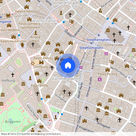 Spiegelgasse, 1010 Wien