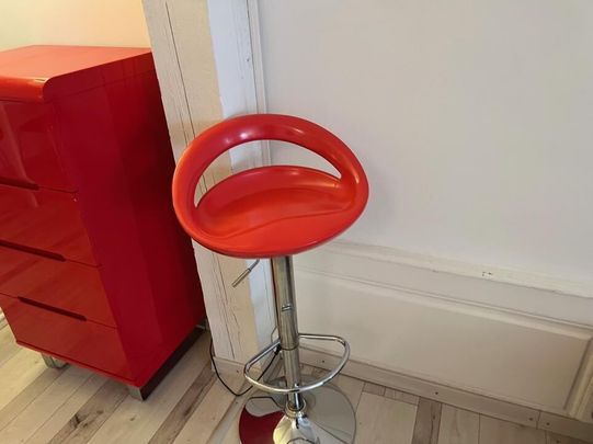 1er étage, grand loft 44 m2 meublé - Photo 1