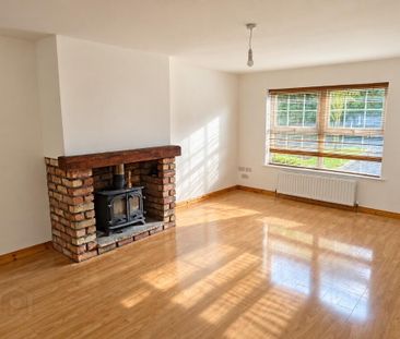 1 Barban Hill Terrace, Dromore, BT25 1TN - Photo 6