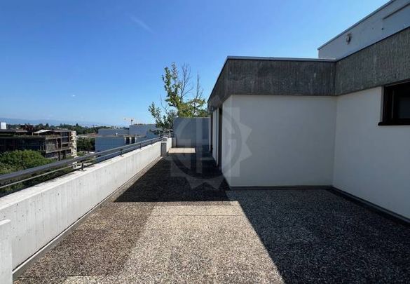 Magnifique Appartement - Genève - Photo 1