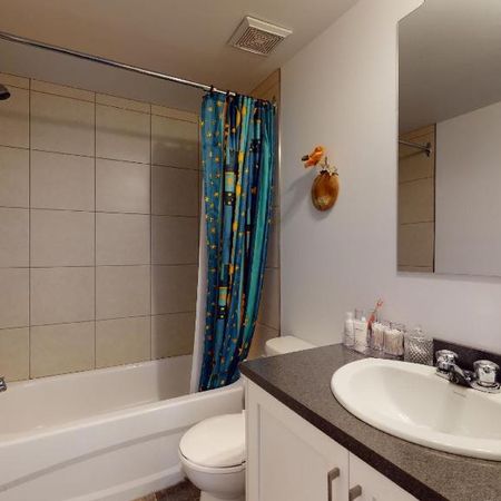 4 ET DEMI LIBRE À PARTIR DU 1ER AVRIL 2026 - Photo 4