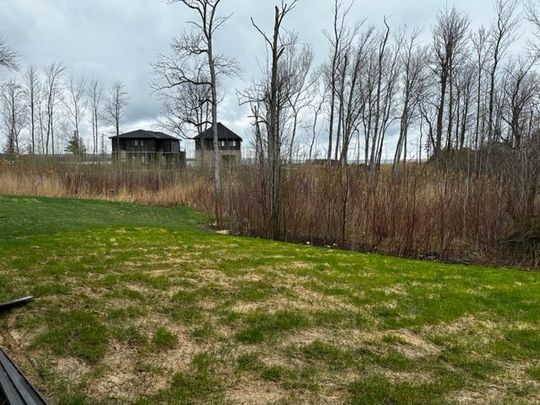 For Lease - 135 Rosie Street, Blue Mountains, Ontario - Photo 1