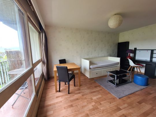 Location Appartement 1 pièce 29m² NANTES 44300 - Photo 1