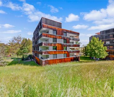 Traumwohnung mit grossem Balkon! - Photo 1