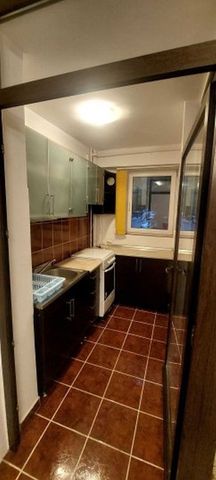 Iancului parter elev stefanescu - Fotografie 4