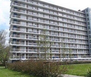 Burgemeester Hazenberglaan 0ong, 3078 Rotterdam, Nederland - Photo 6