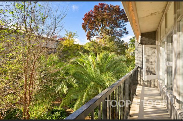 City Living with Parkland Views - Photo 1